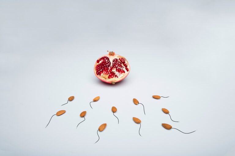 red fruit with white background