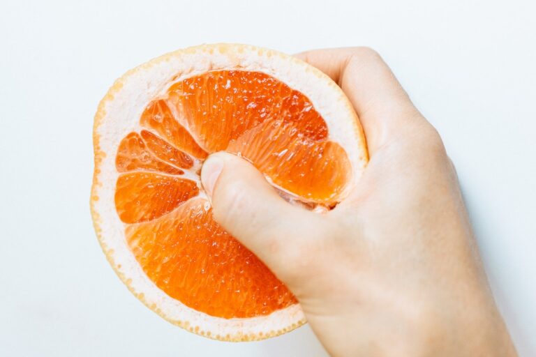 Person Holding Sliced Orange Fruit