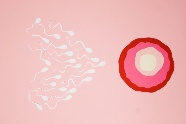 An Illustration of Fertilization