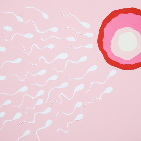 Sperms Swimming towards an Ovum