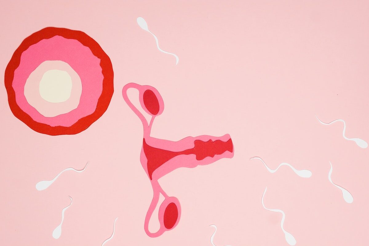 Sperms Swimming Away from an Ovary